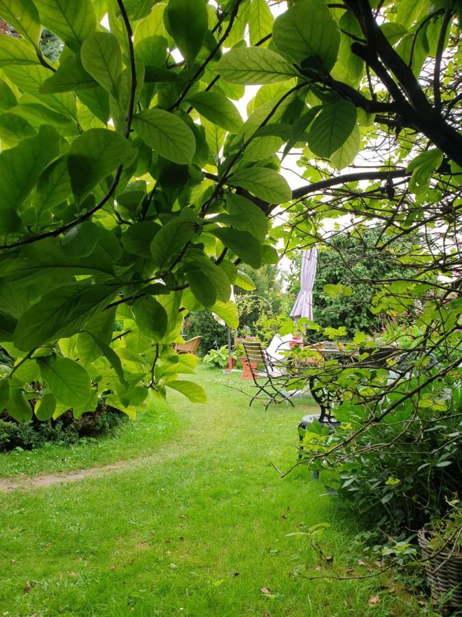 B&B Aan De Limes In Maurik Eksteriør bilde